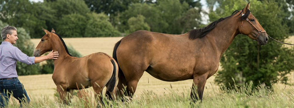 do Luar 20200705-0809