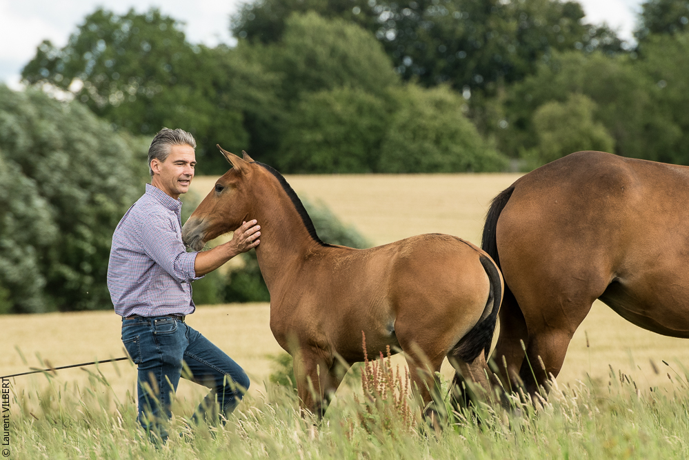 do Luar 20200705-0811