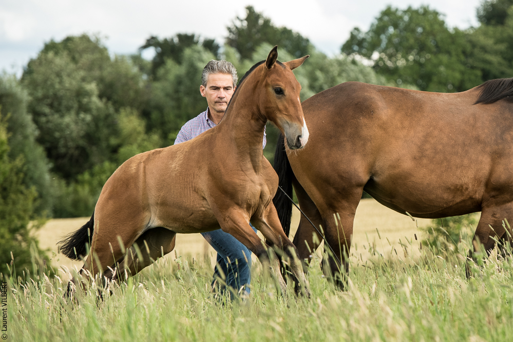 do Luar 20200705-0814