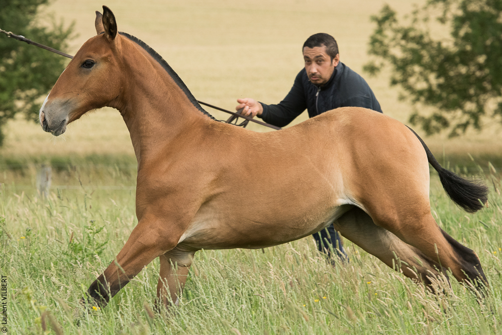 do Luar 20200705-0833