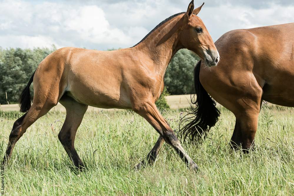 do Luar 20200705-0859