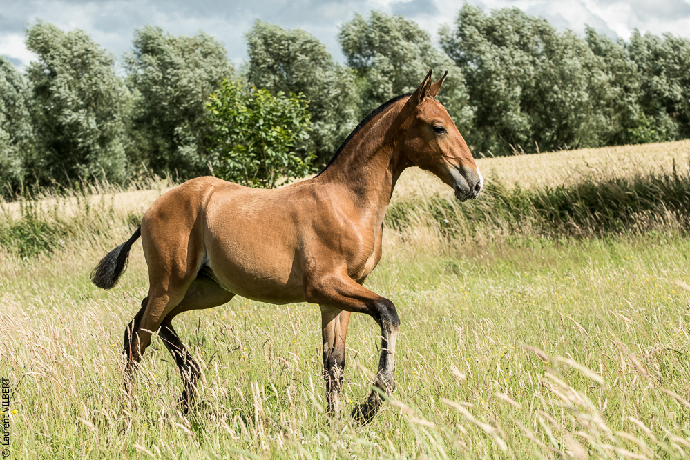 do Luar 20200705-0902