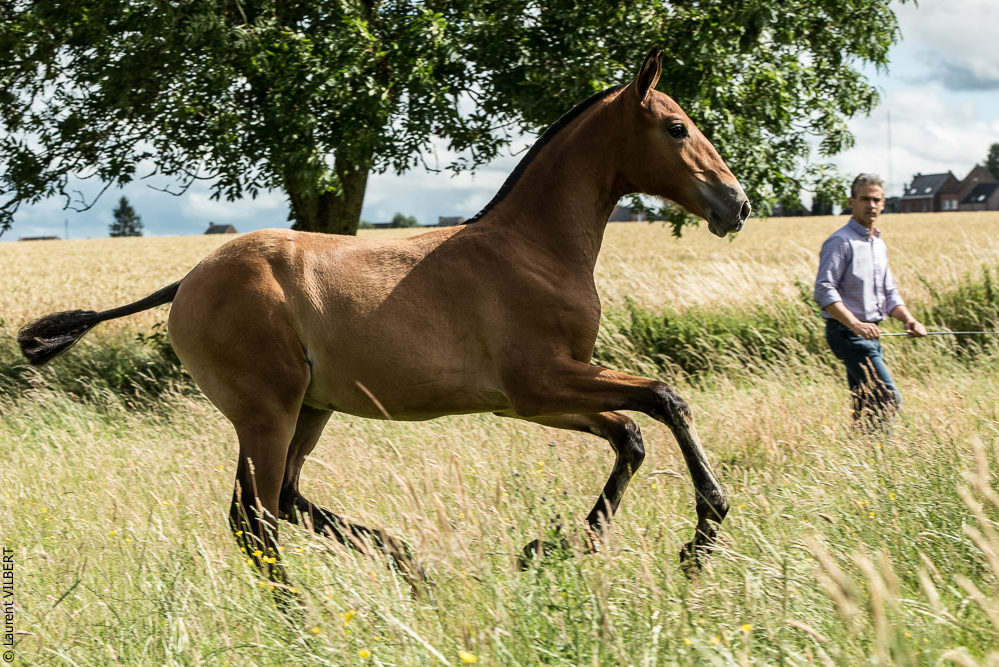 do Luar 20200705-0913