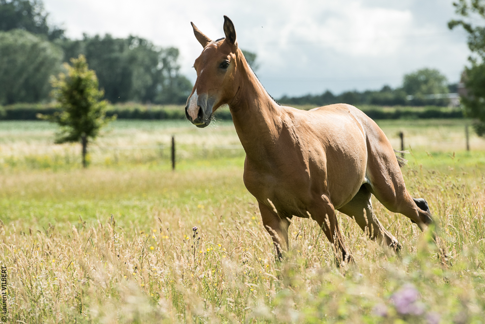 do Luar 20200705-0999