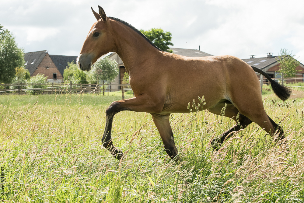 do Luar 20200705-1056