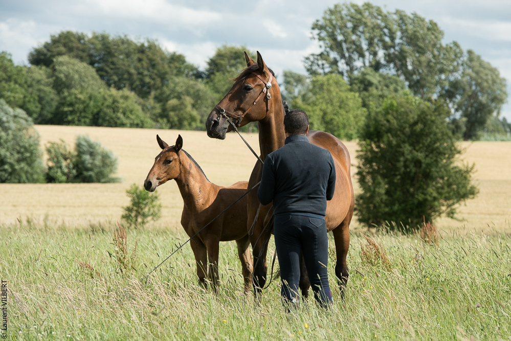do Luar 20200705-1078