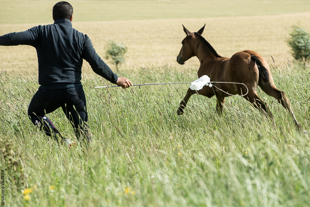 do Luar 20200705-1101