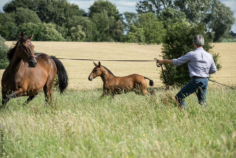 do Luar 20200705-1103