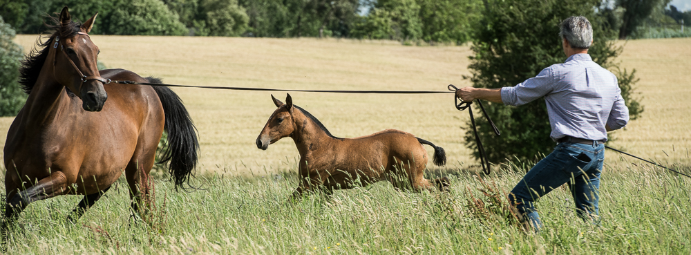 do Luar 20200705-1103