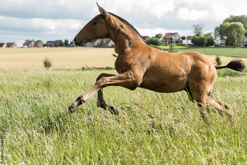 do Luar 20200705-1122