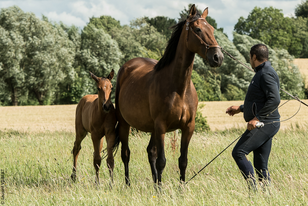 do Luar 20200705-1128