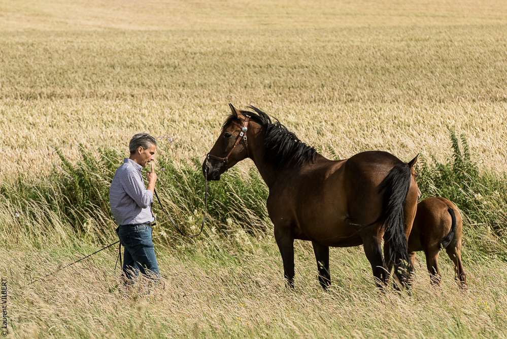 do Luar 20200705-1130