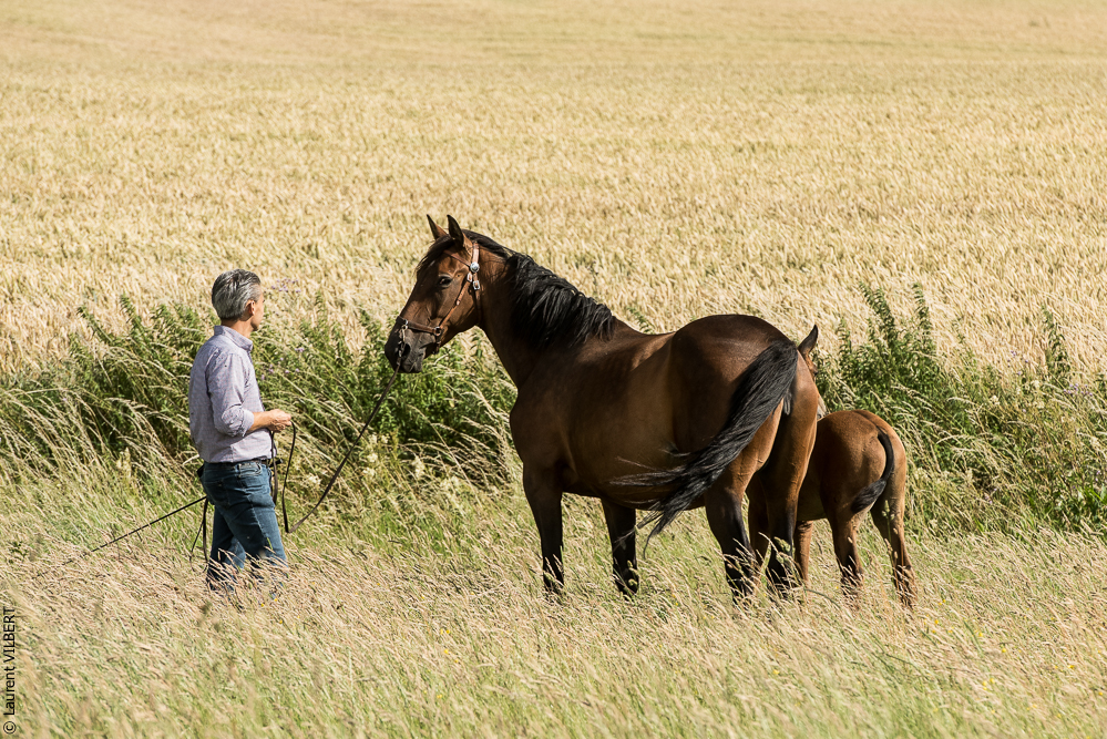 do Luar 20200705-1134