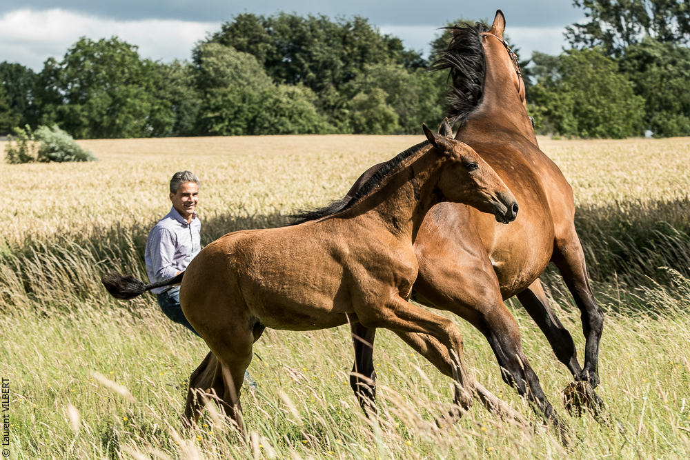 do Luar 20200705-1148