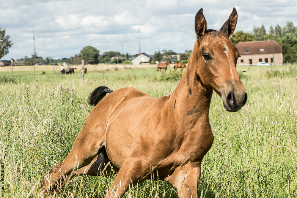do Luar 20200705-1207