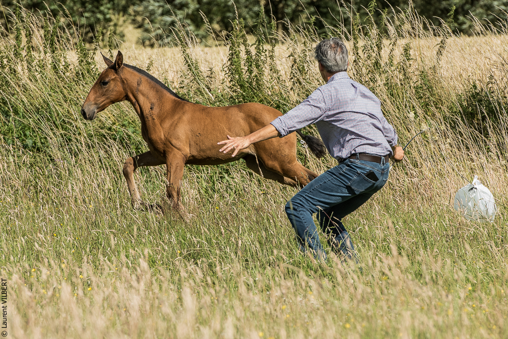 do Luar 20200705-1227