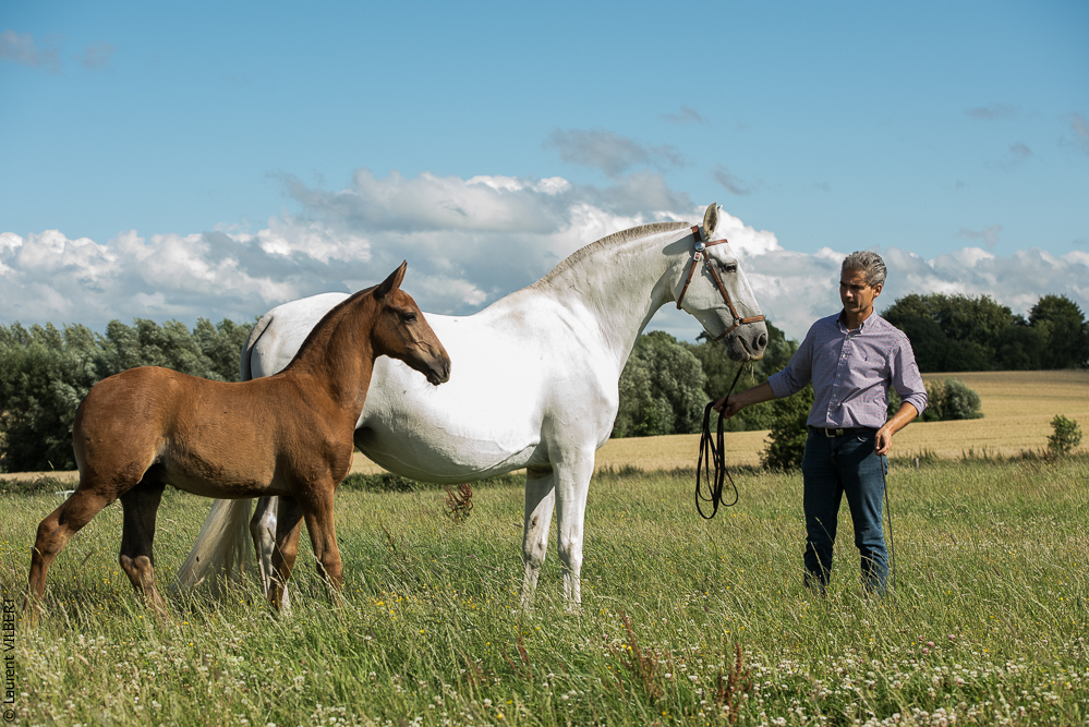 do Luar 20200705-1311