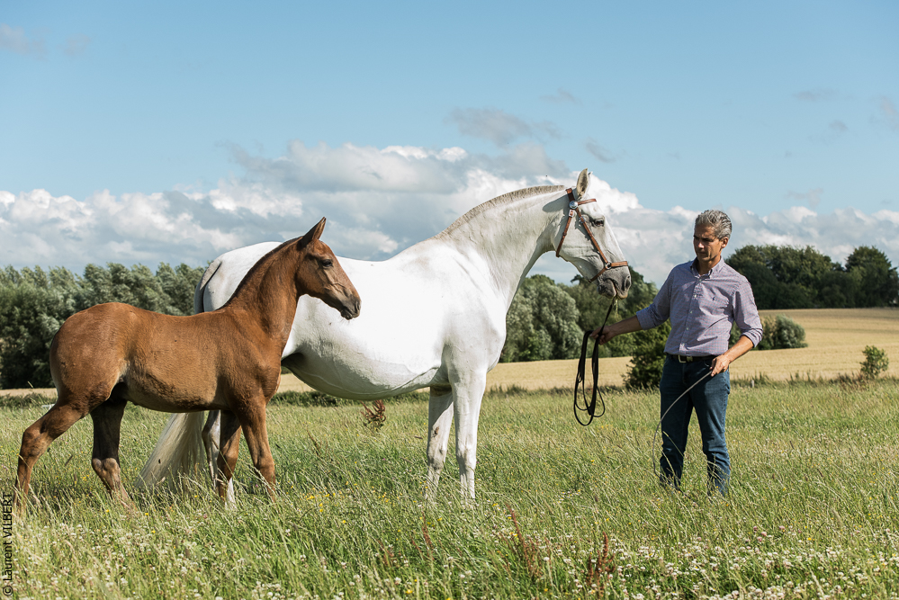 do Luar 20200705-1312