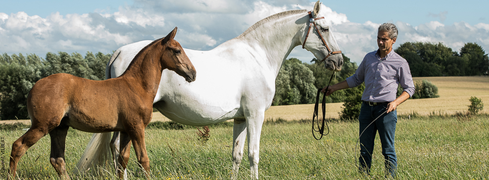 do Luar 20200705-1312