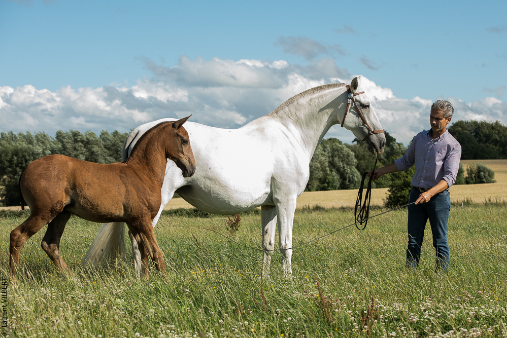 do Luar 20200705-1314