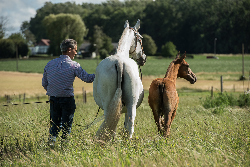 do Luar 20200705-1332