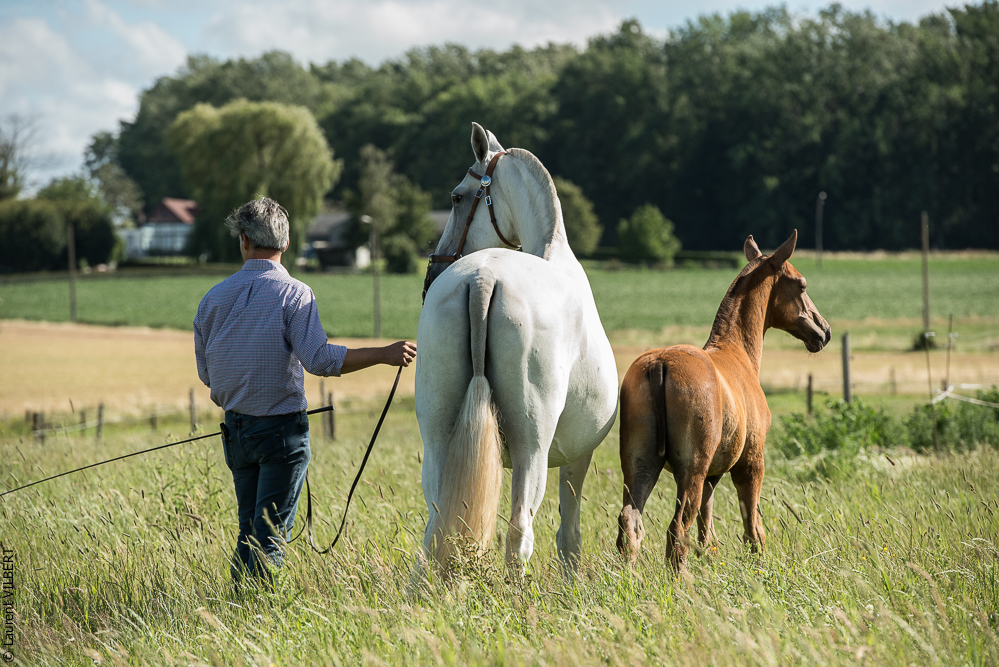 do Luar 20200705-1335