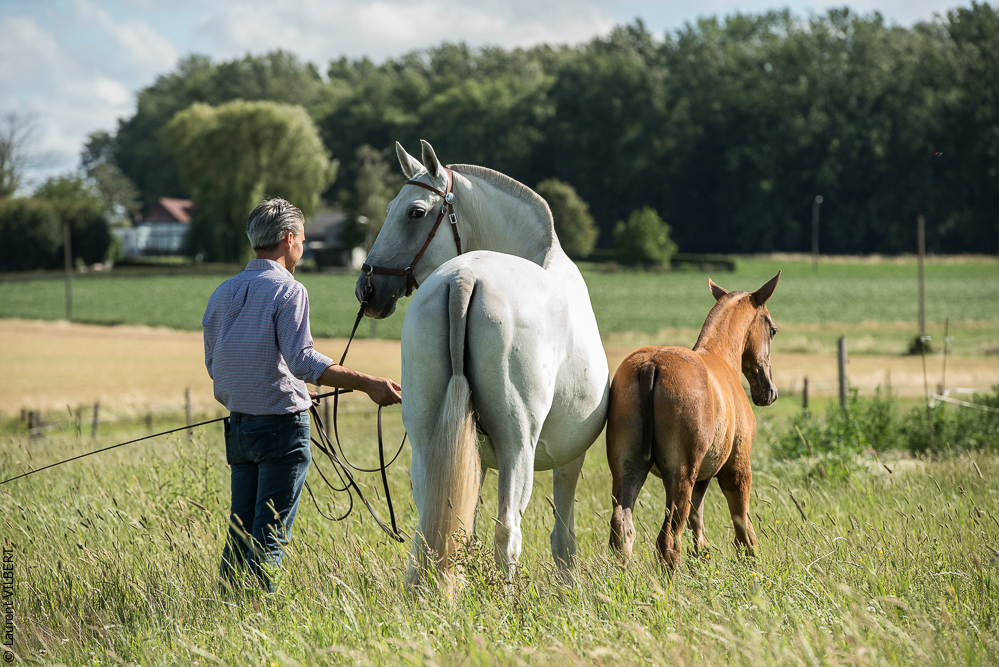 do Luar 20200705-1337