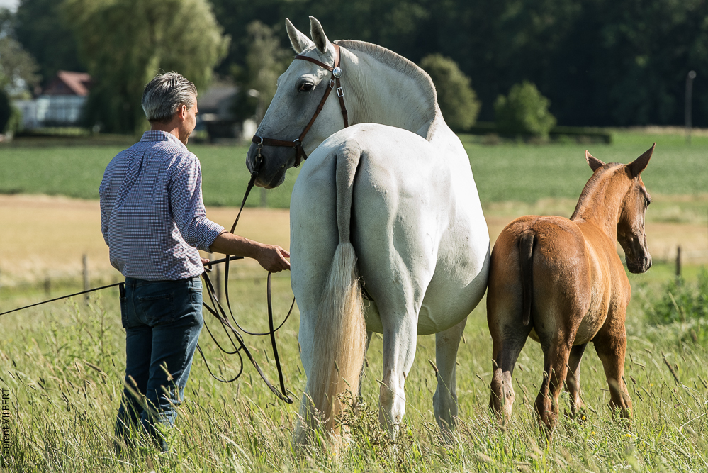 do Luar 20200705-1337