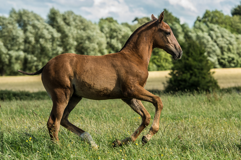 do Luar 20200705-1350