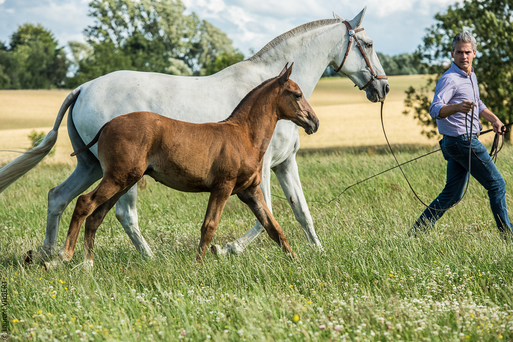 do Luar 20200705-1368