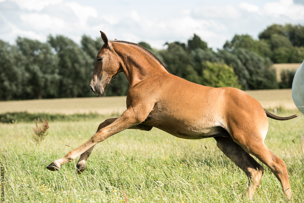 do Luar 20200705-1403