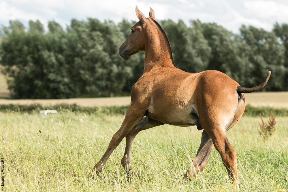 do Luar 20200705-1404