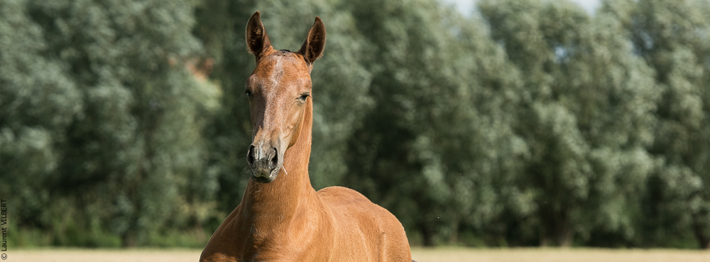 do Luar 20200705-1430