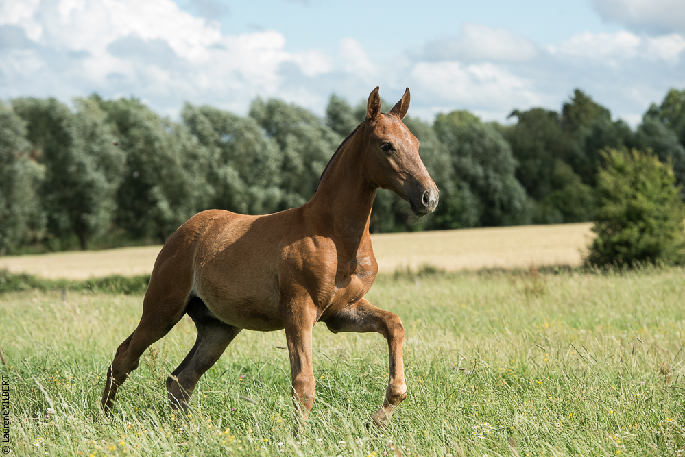 do Luar 20200705-1432