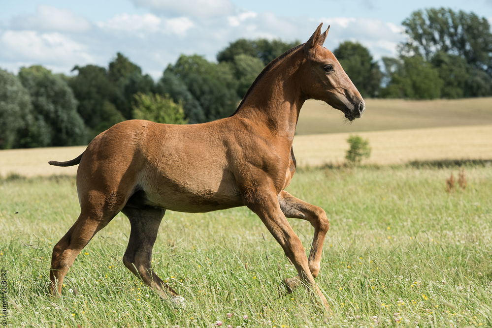 do Luar 20200705-1433