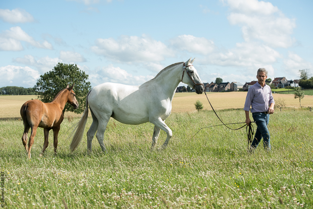 do Luar 20200705-1436