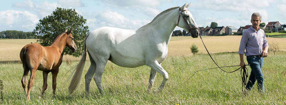 do Luar 20200705-1436