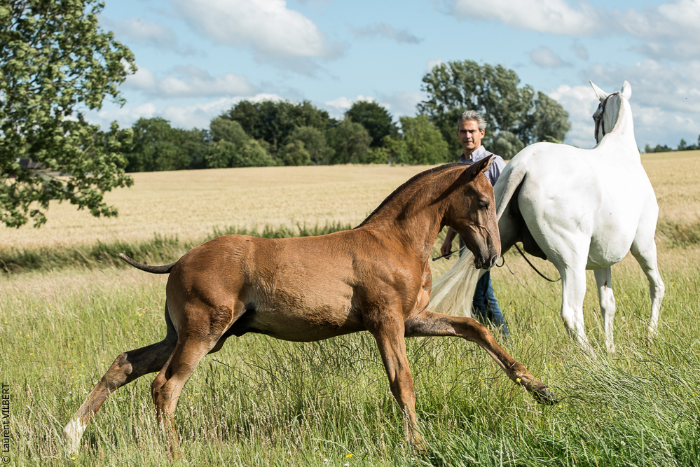 do Luar 20200705-1447