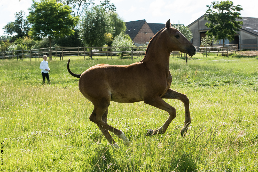 do Luar 20200705-1516