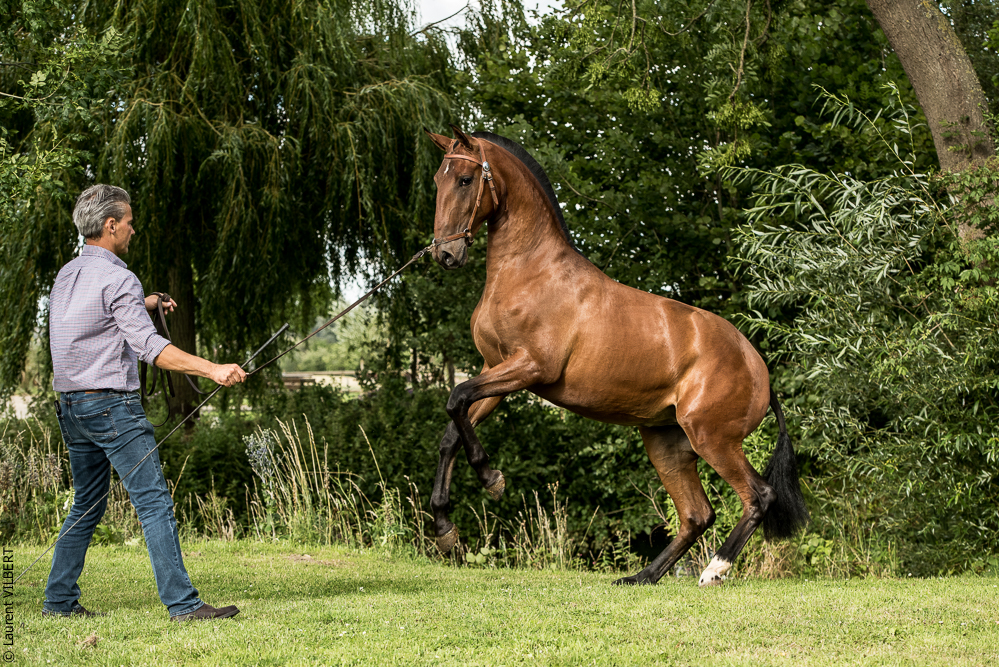 do Luar 20200705-1843