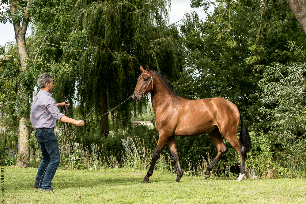 do Luar 20200705-1845