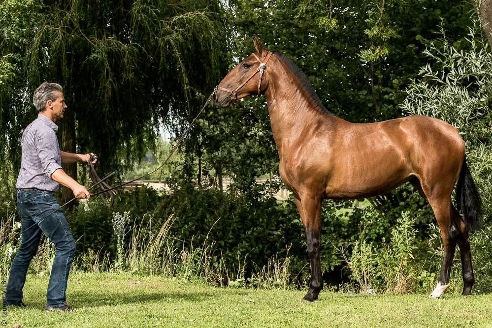 do Luar 20200705-1860