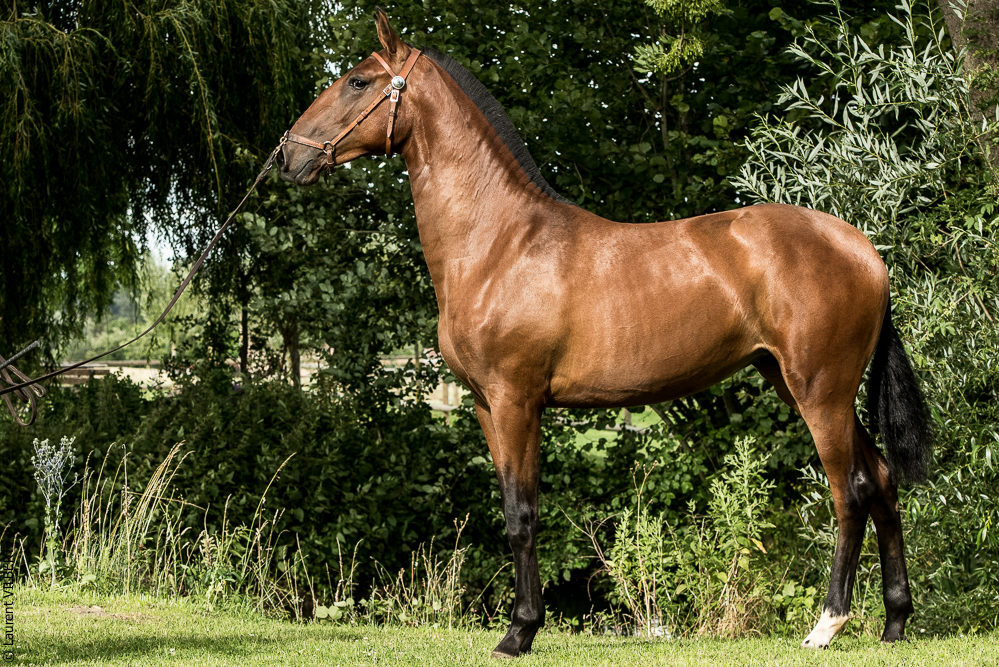 do Luar 20200705-1860