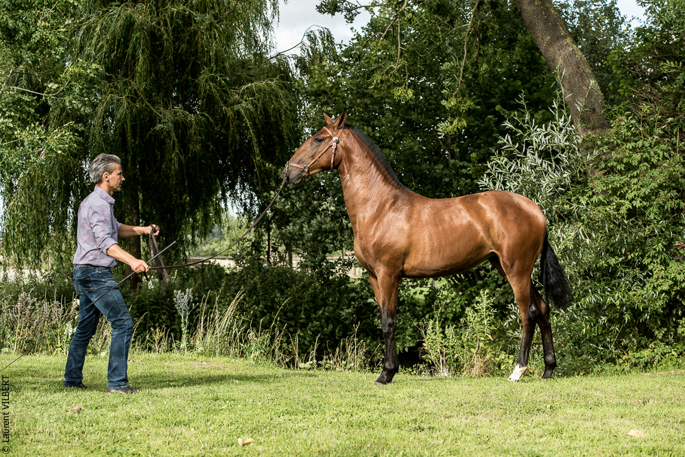 do Luar 20200705-1861