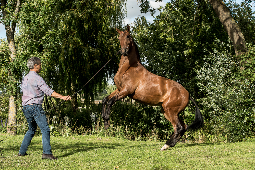 do Luar 20200705-1869