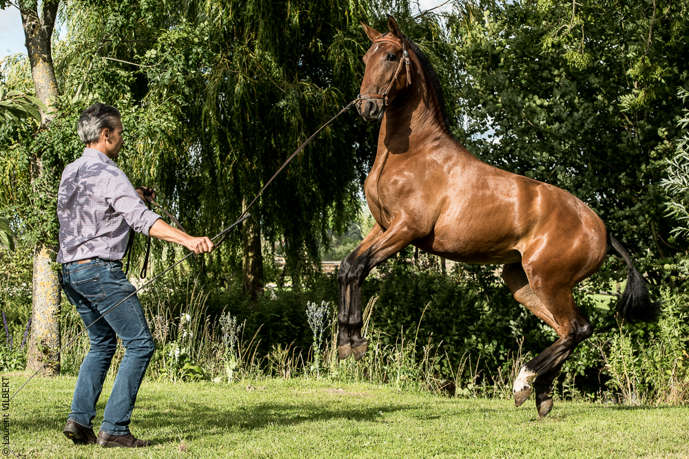 do Luar 20200705-1870