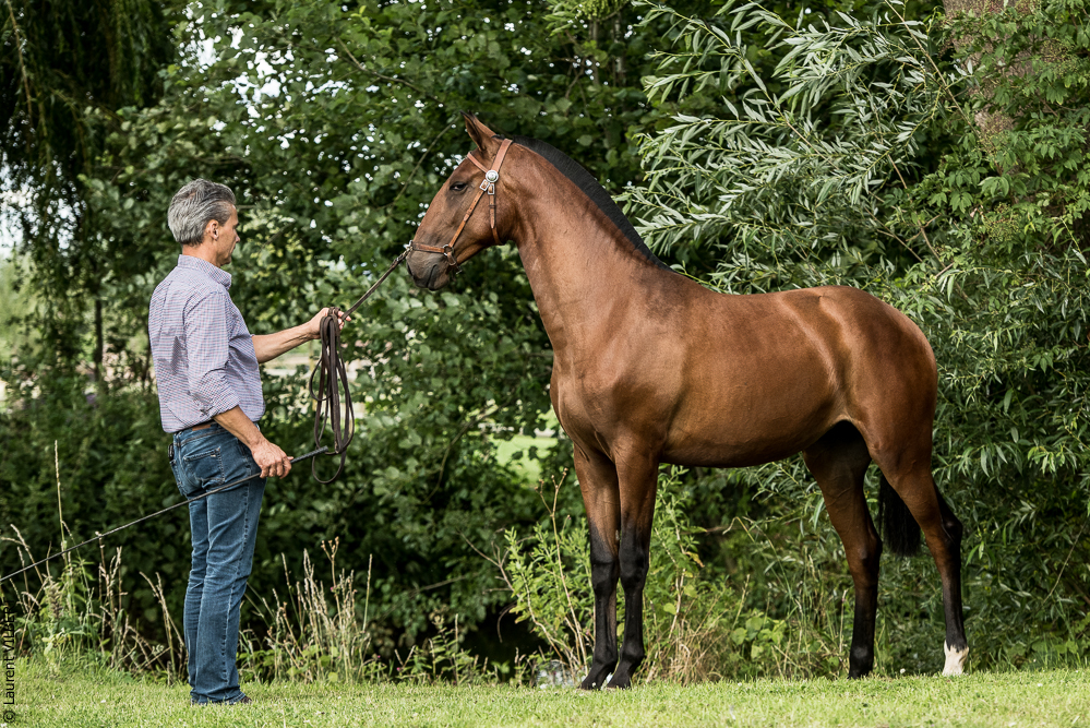 do Luar 20200705-1898