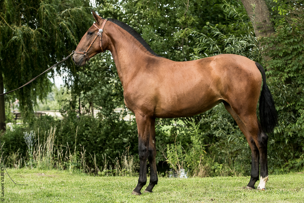 do Luar 20200705-1916