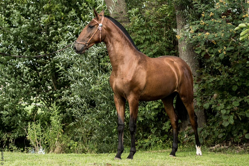 do Luar 20200705-1936