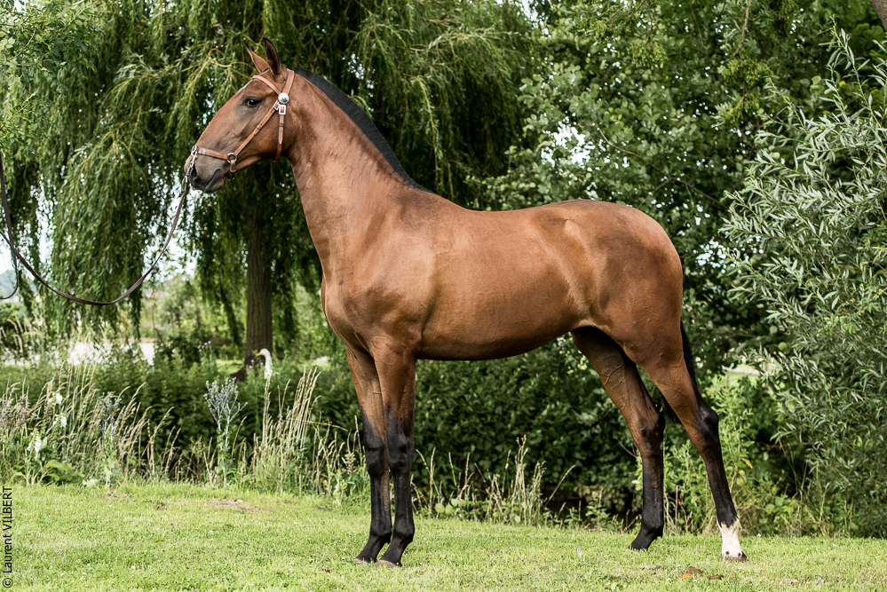 do Luar 20200705-1943